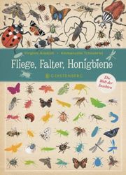 Fliege, Falter, Honigbiene