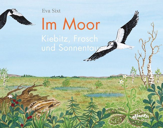 Im Moor – Kiebitz, Frosch und Sonnentau